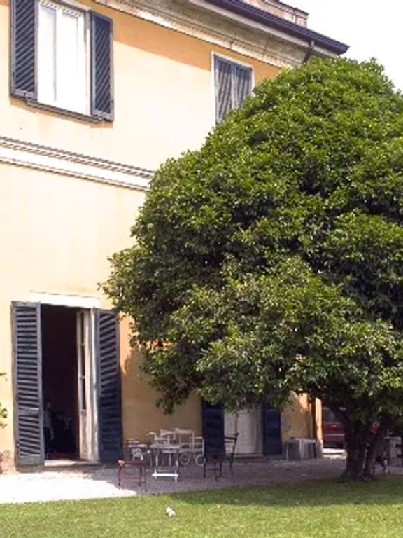 villa-bellingardi-eupilio-side-garden-olea-fragrans